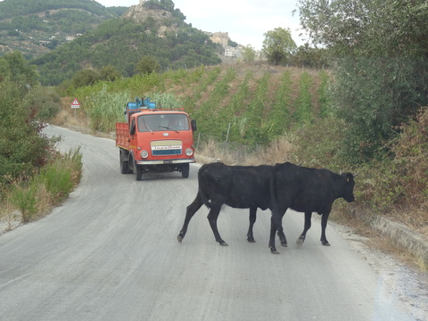 sicile48